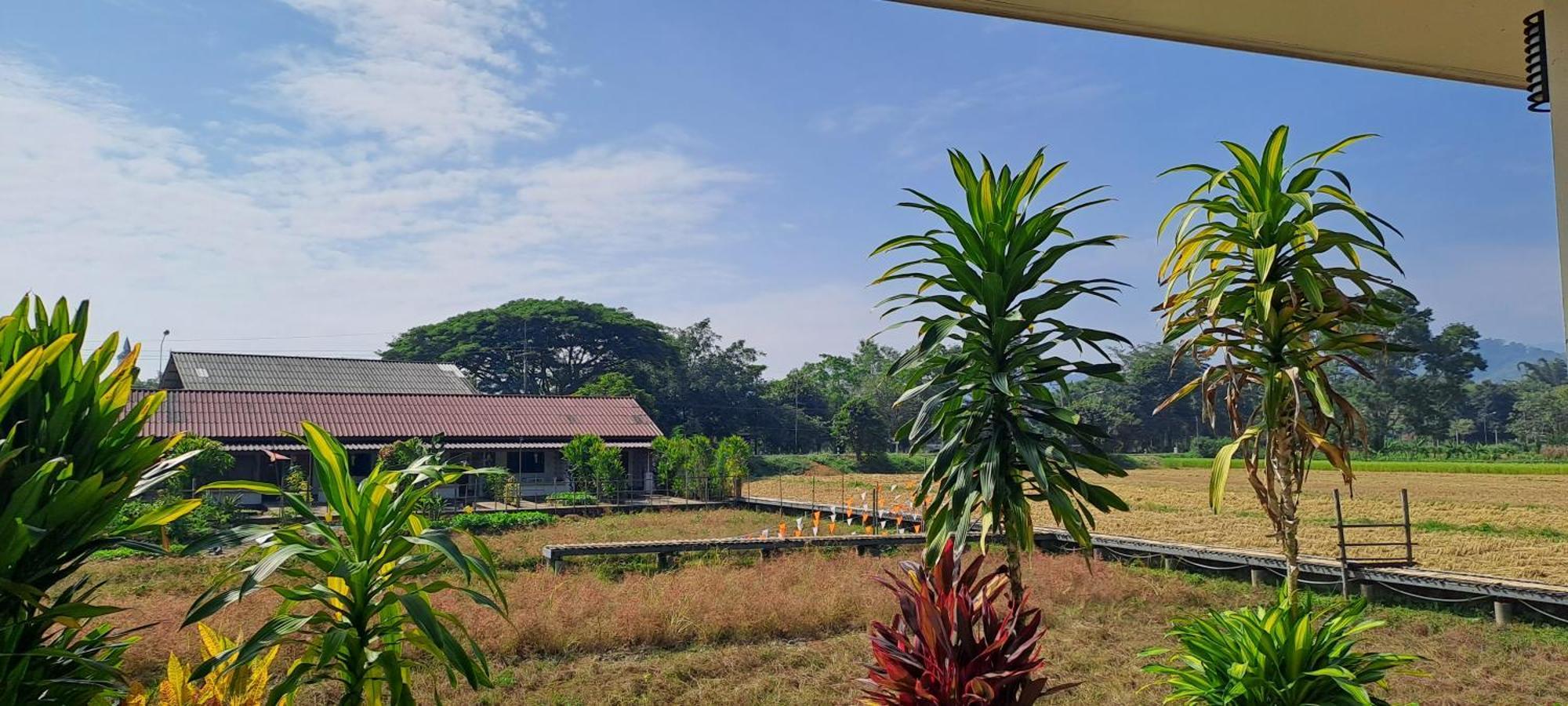 Ban Lom Jen Homestay Chiang Rai Exterior photo